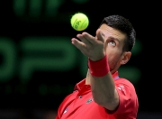 雷火电竞网站-戴维斯杯轻取法网，德约科维奇关键制胜的简单介绍