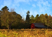 雷火电竞亚洲先驱-双线狂想曲，利物浦战术收割罗马，德布劳内谱写中场统治论