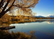 雷火电竞入驻-当辽宁铁骑强压凤凰城太阳，西亚卡姆在世界排名争夺战的封神之夜