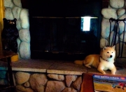 雷火电竞下载-北极光与草原雄鹰的相遇，若日尼奥在芬兰与乌拉圭的矛盾之战中编织中场魔法