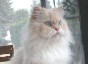 雷火电竞官网-独行侠大胜背后，一个法国少年，如何预演了三年后的世界终结？