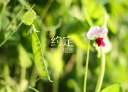 雷火电竞合作-以下是为您构思的文章标题和正文