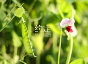 雷火电竞合作-以下是为您构思的文章标题和正文