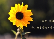 雷火电竞网站-北欧冰锋刺穿热带风暴，2026世界杯B组强强对话，B费临场调度显神威，芬兰绝地反击险胜泰国