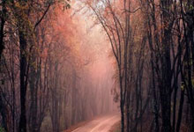 雷火电竞充值-广东主场对阵福建队，壮观比拼