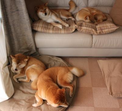 孤胆破京门,生死战霍勒迪临危救主,浙江绝境突围记