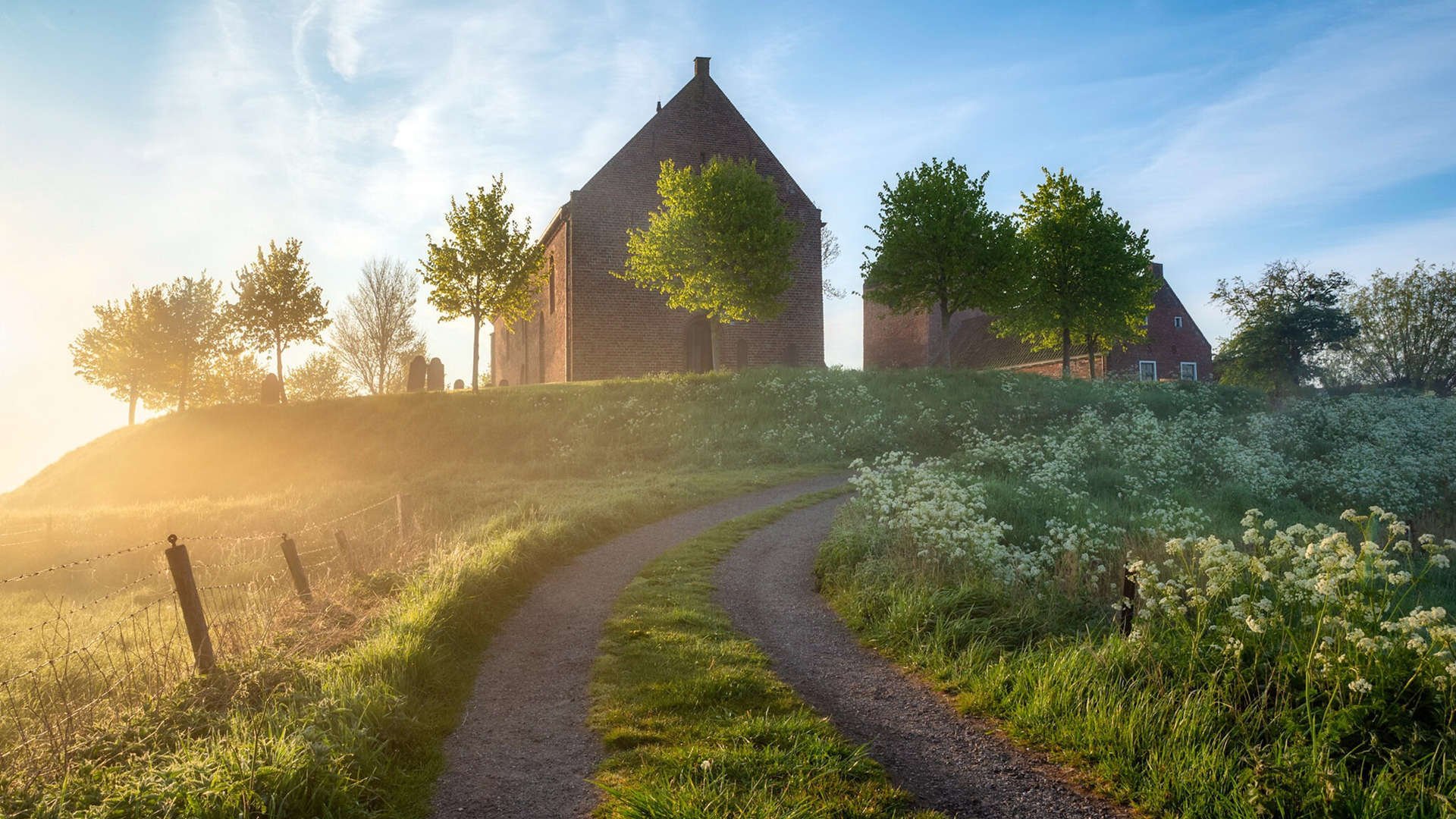 南十字星下，一颗彗星划破红土夜空—奥利维耶生涯之夜助西班牙强压新西兰