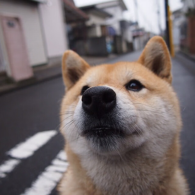 幻镜对决，库里爆发之夜与新疆峡谷的魔术终章