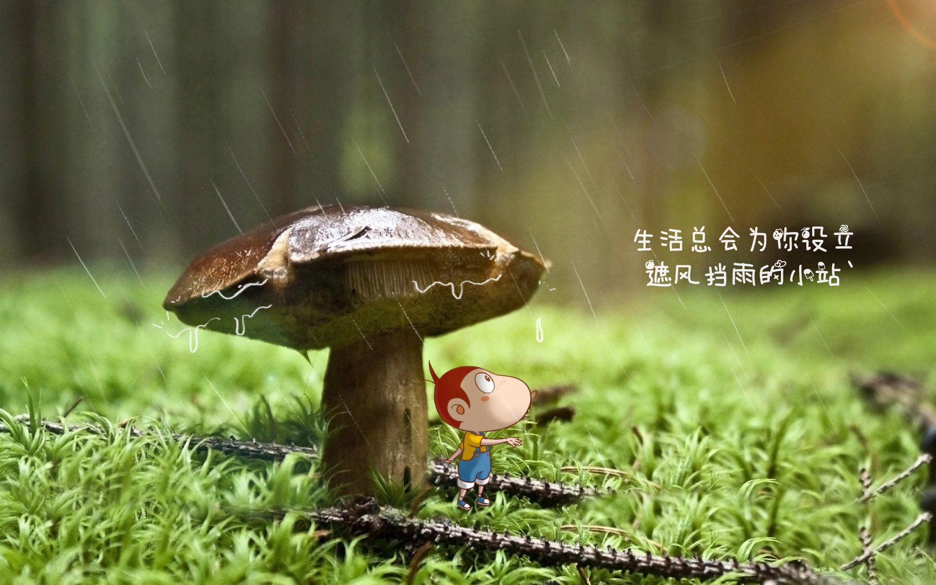 致命一击的优雅，2026世界杯D组，哥斯达黎加如何在攻守转换中完胜阿联酋，格列兹曼书写唯一剧本