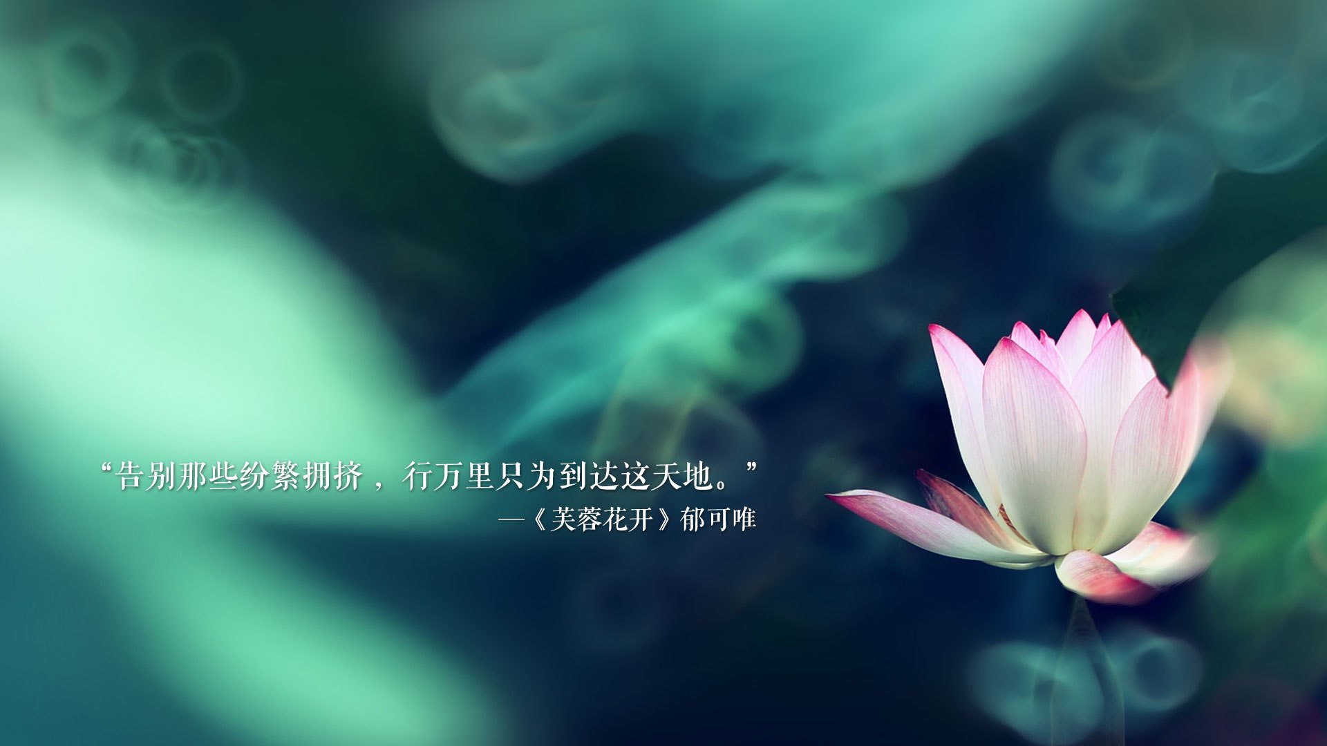 中亚雄狮的怒吼，2026世界杯G组，乌兹别克斯坦逆袭西班牙，阿诺德一人闪耀全场