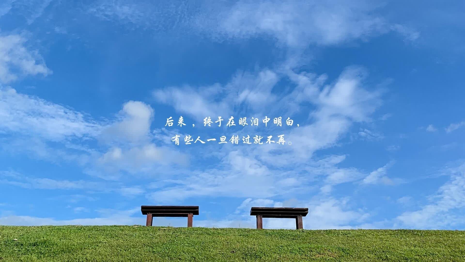 唯一性的铁幕,当穆西亚拉在2026世界杯F组撕裂枫叶长城